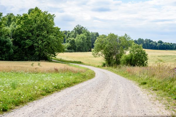 Stone Driveway Repair in Oconomowoc